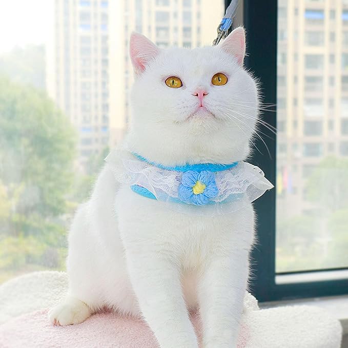 Cat Harness Collar and Leash Set, Sweet Lace Floral Kitten Collar, Escape Proof Puppy Chest Harness, Adjustable Cute Harness Leash Set for Cat Puppy Dog Outdoor Walking (Blue, S)