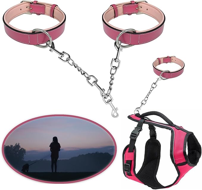 Dog Collar Safety Clip Metal Clasp Double Ended Connector 2 Pack Prong Chew Proof Backup Dog Clip for Pet Harness Collar Leash Necklaces Dog Strap Lead Carabiner Heavy-Duty Chain 8 inch