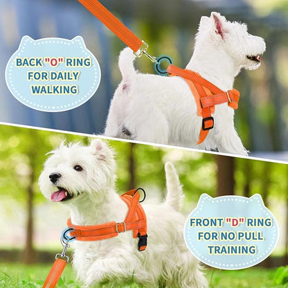 Lukovee No Pull Dog Harness and Leash Set, Soft Padded Small Dog Harness, Neck & Chest Adjustable Reflective Vest Puppy Harness with 4ft Lightweight Anti-Twist Dog Leash for Small Dogs (Orange, XXS)