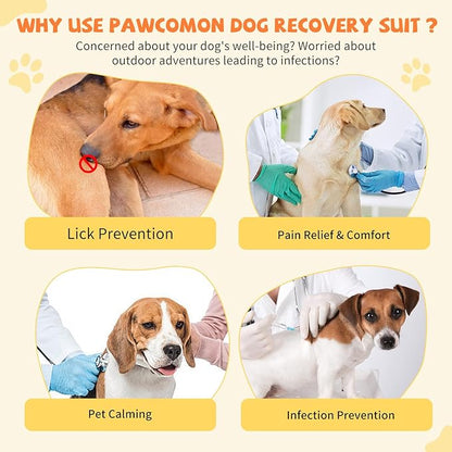 Dog Onesie for After Surgery Recovery Suit Pet Surgical Suit for Female Male Cone E-Collar Alternatives After Spay Abdominal Wounds Protector Dog Anti-Licking Onesie for Small Medium Dogs