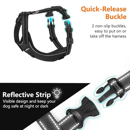 VavoPaw Dog Seat Belt Harness for Car, Dog Car Harness Adjustable Mesh Breathable & Dogs Seatbelt Safety Tether with Elastic Bungee for Small Medium Large Pets(Carbon Black, L)