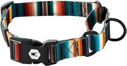 Wolfgang Heavy Duty Martingale Dog Collar with Quick Release Nylon Buckle for Walking & Training, LostArt Print, Large