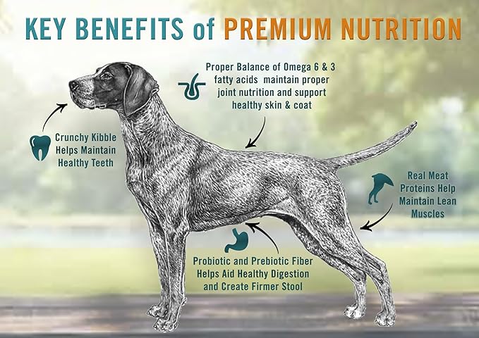 Chicken Soup for the Soul All Natural Premium Adult Dry Dog Food, Real Meat First Ingredient, No By-Products, Supports Gut & Immune Health, Chicken, Turkey & Brown Rice, 13.5lb
