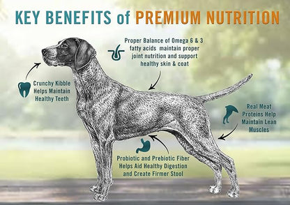 Chicken Soup for the Soul All Natural Premium Adult Dry Dog Food, Real Meat First Ingredient, No By-Products, Supports Gut & Immune Health, Chicken, Turkey & Brown Rice, 13.5lb