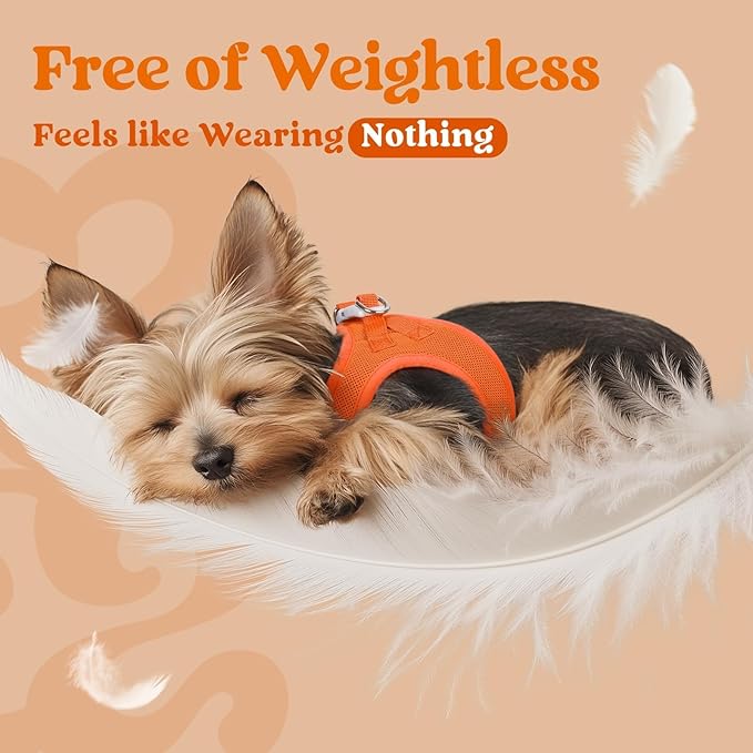 rabbitgoo Small Dog Harness, Step-in Soft Mesh Puppy Vest with Safety Buckle, Breathable Reflective Pet Harness for Extra Small Dogs, Orange XXS
