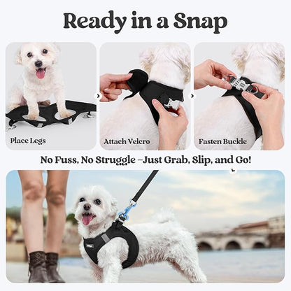 rabbitgoo Dog Harness Small Sized and Leash Set, Step in Soft Light Puppy Vest, Breathable Mesh Pet Harness, Reflective for Outdoor Safe Walking, Black XXL