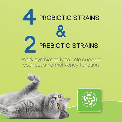 Virbac NEPHRODYL® Synbiotic Capsules - Kidney Support Supplement for Cats & Dogs, Probiotics & Prebiotics for Digestive Health, Small & Easy-to-Swallow Capsules, Made in The USA