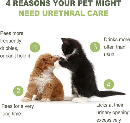 MARIMER Urinary Health Liquid Supplement for Cats for Dogs – Cranberry, Herbal Extracts & Vitamins – Supports Urinary Tract, Reduces Infections & Stones – All Life Stages, 3.38oz (100ml)