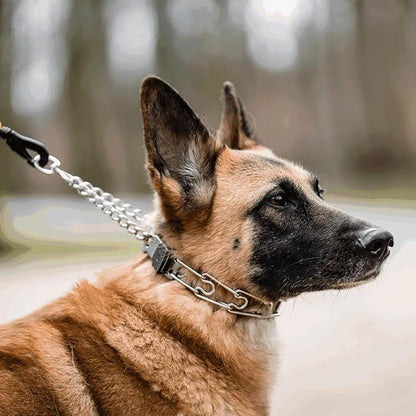 Herm Sprenger Prong Collar with Quick Release ClicLock Buckle for Small Medium Dogs Stainless Steel No Pull Collar | Pinch Collar for Dog Training Made in Germany (16in x 2.25mm)
