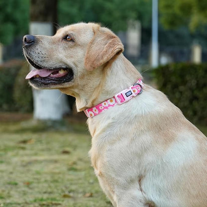 Dog Collar and Leash Set, Cute Pink Daisy Pattern, Polyester Material, 5ft Leash, for Small Dogs.(Small, Pink Daisy)