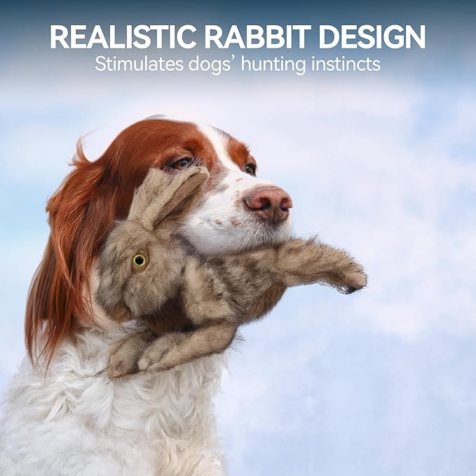 ALL FOR PAWS Rabbit Squeaky Doy Toy, Bunny Dog Toy for Medium Large Breed, Puppy Fetch Toy with Squeaker, Plush Chew Dog Toy, Classic Brown Rabbit-L
