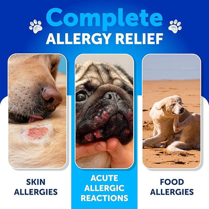 Dog Allergy Relief Chews - Itching Skin Relief for Dogs - 180 Soft Treats - Fish Oil - Omega 3 - Seasonal Allergies Pills - Skin & Coat, Anti Itch,Hot Spots Treatment - Canine Immune Health Supplement