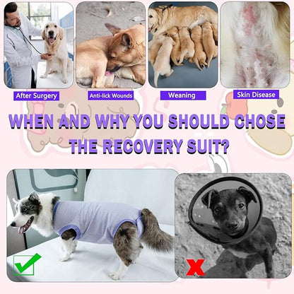 Dog Surgical Recovery Onesie - Cone Alternative, Spay/Neuter Recovery Suit for Male/Female Dogs, Purple, X-Large
