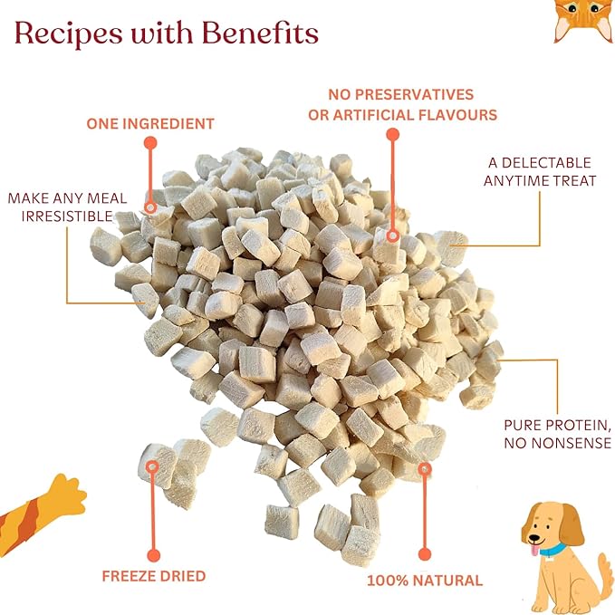 Just Chicken Raw Freeze-Dried Bites Two-Pack Single Source Dog & Cat Treats Food Topper - Training Treasure, Perfect for Picky Eaters, Grain-Free, Protein Rich (2 Packs) (2.0 oz each, Just Chicken)
