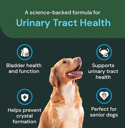 Vetriscinece Veterinary Strength UT Health Chews - Clinically Studied Supplement for Dogs - Supports Canine Urinary Wellness -Naturally Sourced - Features GanedenBC 30-60 Count, Chicken Liver Flavor