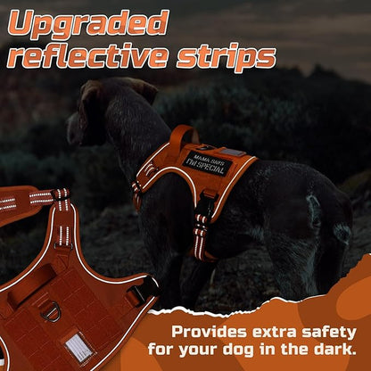 rabbitgoo Tactical Dog Harness for Small Dogs, No Pull Military Service Vest with Handle & Molle, Easy Control for Training Walking, Adjustable Reflective Straps, Orange, S