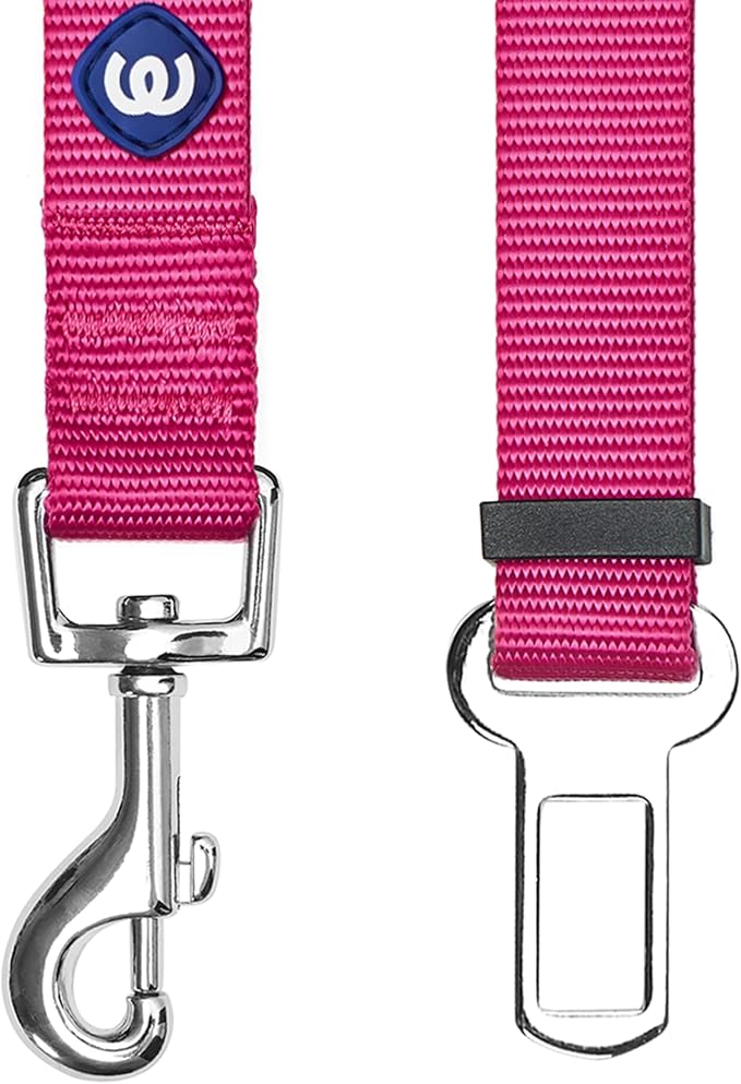 Blueberry Pet Dog Leash - Puppy Essentials & Heavy Duty Dog Leashes for Large Dogs, Safety Tether for Dogs & Cats, Very Berry, 2" W x 27.5" L, Festive & Durable for Pet Parents & Road Trips