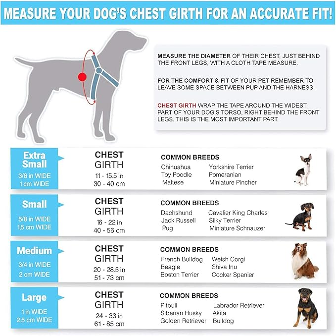 Pawtitas Value Bundle Set | Large Dog Harness + Large Dog Collar – Blue Set