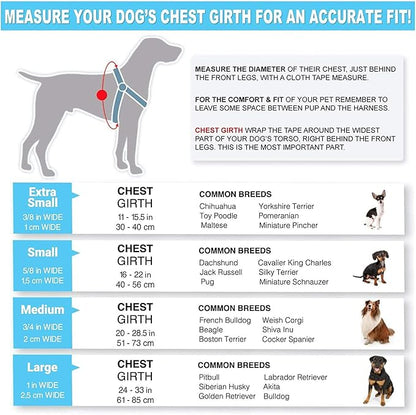 Pawtitas Value Bundle Set | Large Dog Harness + Large Dog Collar – Blue Set
