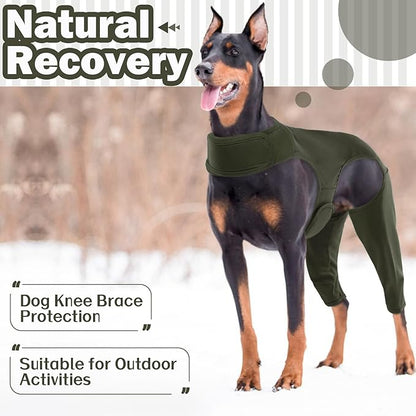 ROZKITCH Dog Leg Surgery Recovery Suit Rear Legs, Pet Sleeve to Prevent Licking Wound Elbow Protector, Dog Recovery Suit Cone Collar Alternative for Sprain ACL CCL Arthritis Joint Care Green XL