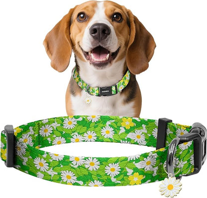 Kazazoo Dog Collar Cute and Soft Nylon Puppy Collar for Boy and Girl, Adjustable Dog Collars for Small Medium Dogs, Green Daisy-M