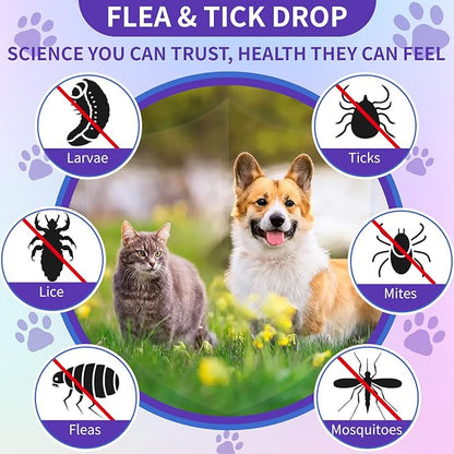 WEALLIN Flea and Tick Support for Dogs and Cats Natural Flea Treatment Drops with Multivitamin for Pets Oral Flea & Tick Prevention for Dogs and Cats Flea Herbal Drops for All Breeds and Ages