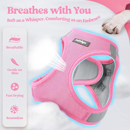 rabbitgoo Dog Harness Small Sized and Leash Set, Step in Soft Light Puppy Vest, Breathable Mesh Pet Harness, Reflective for Safe Easy Walking, Pink & Gray XXS