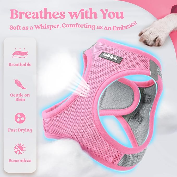rabbitgoo Dog Harness Small Medium Sized and Leash Set, Step in Soft Light Puppy Vest, Breathable Mesh Pet Harness, Reflective for Safe Easy Walking, Pink & Gray L