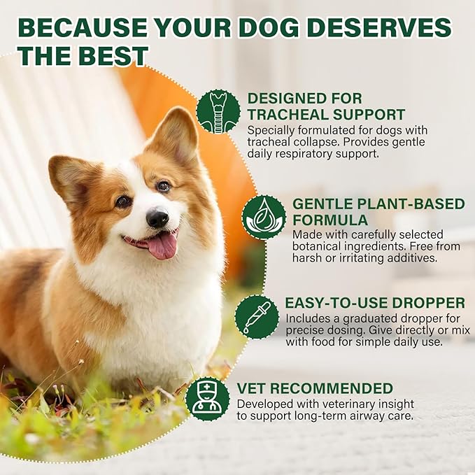Dogs Tracheal Collapse Supplement, 4 FL OZ Trachea Cough Elixir, Dog Cough Relief for Dry Cough Goose Honk & Smooth Breathing, Natural Herbs Respiratory Support Drops - Bacon Flavor