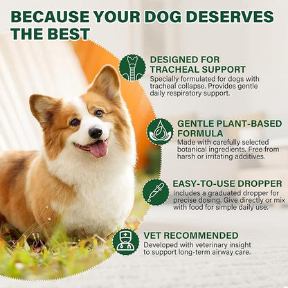 Dogs Tracheal Collapse Supplement, 4 FL OZ Trachea Cough Elixir, Dog Cough Relief for Dry Cough Goose Honk & Smooth Breathing, Natural Herbs Respiratory Support Drops - Bacon Flavor