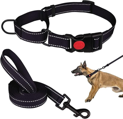 Martingale Dog Collar and Leash Set Martingale Collars for Dogs Reflective Martingale Collar for Small Medium Large Dogs(Black&L)