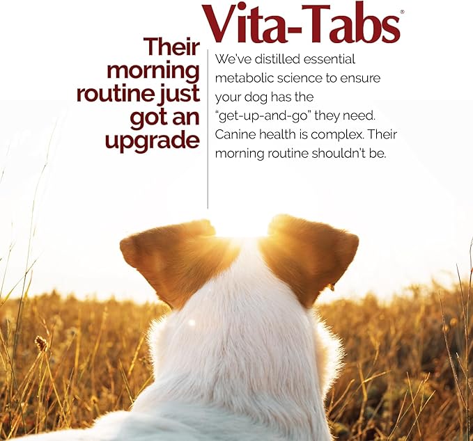 for Dogs Multivitamin & Mineral Supplement, Veterinarian Recommended Vitamin-Mineral Nutritional Support, Daily Chewable Tablets for Skin Coat Energy & Overall Wellness, 60 Chewable Tablets (4.2 oz)