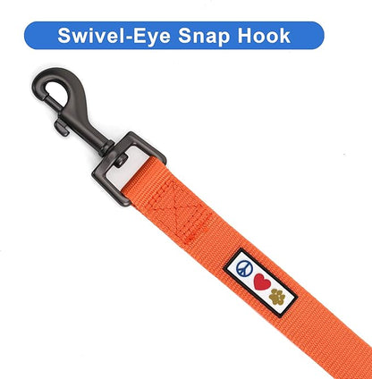 Pawtitas Personalized 6 ft Orange Dog Leash M/L Custom Name and Phone Embroidery Strong Nylon Leash for Medium and Large Breeds