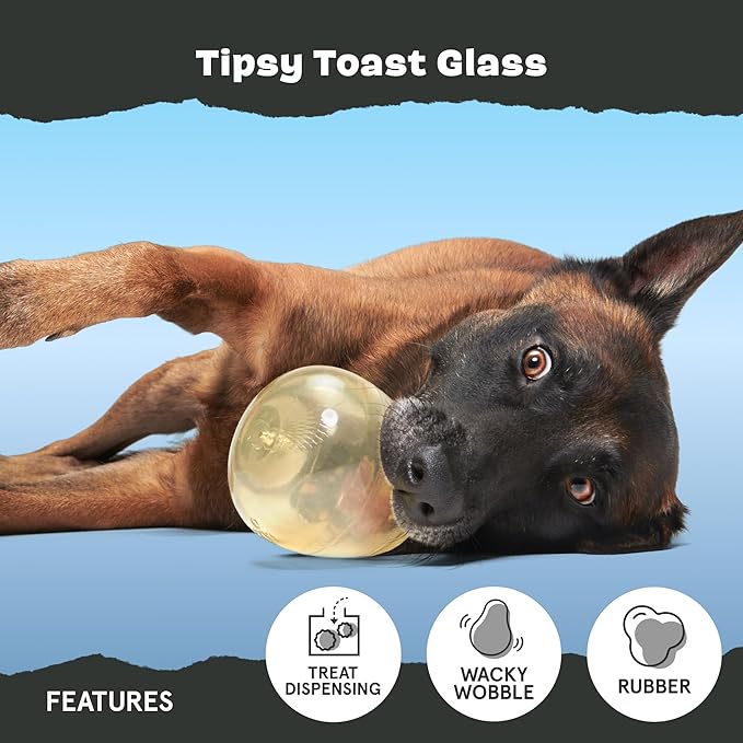 Barkbox Tipsy Toast Glass – Treat Dispensing Dog Toys – Puppy and Pet Toys for Medium to Large Dogs
