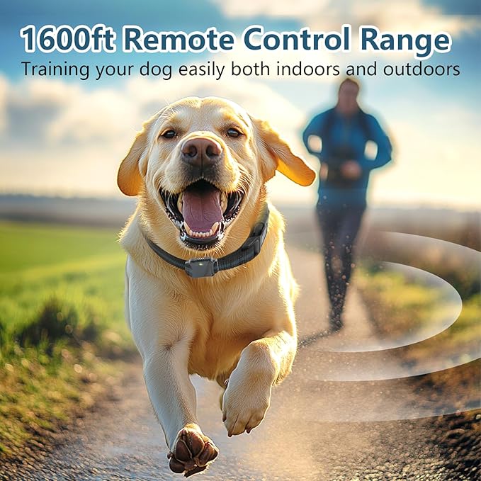 Shock Collar for Dogs, Dog Training Collar with Remote Control for 2 Dogs, 3 Training Modes with Beep, Vibration and Satic, Waterproof, Rechargeable for Large Medium Small