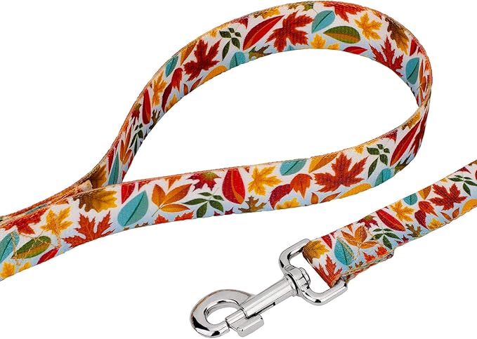 Country Brook Petz - Brisk Autumn Everyday Dog Collar and Leash - Awesome Autumn Collection Featuring Designs You Will Fall for (1 Inch, Extra Large)