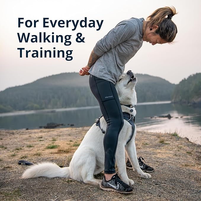 Ruffwear, Front Range Dog Harness, Reflective Soft Padded Everyday Harness with Dual Leash Clips, Adjustable and Lightweight Fit for Training or Walking for All Dogs, Spring Mountains, XX-Small