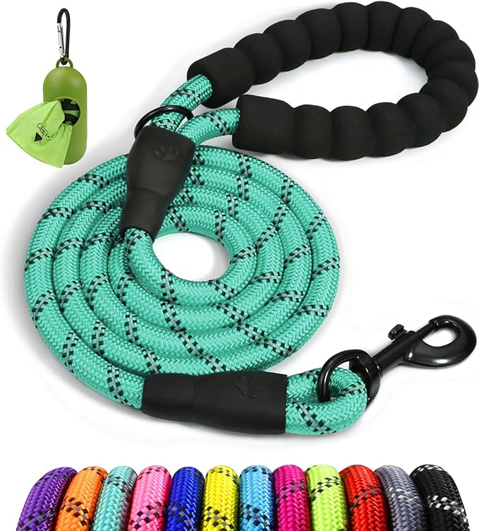 Taglory Rope Dog Leash 6 FT with Comfortable Padded Handle, Highly Reflective Threads Leash and Anti-Tangle Clip for Walking Small Dogs, 3/8 inch, Turquoise