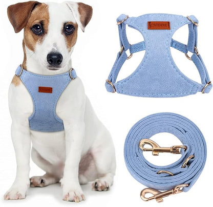 CHEDE No Pull Puppy Harness and Multifunction Dog Leash Set- 8 Colors Soft Adjustable No Choke Escape Proof Cute,Lightweight Pet Vest Harness for Small and Medium Dog (S, Blue)