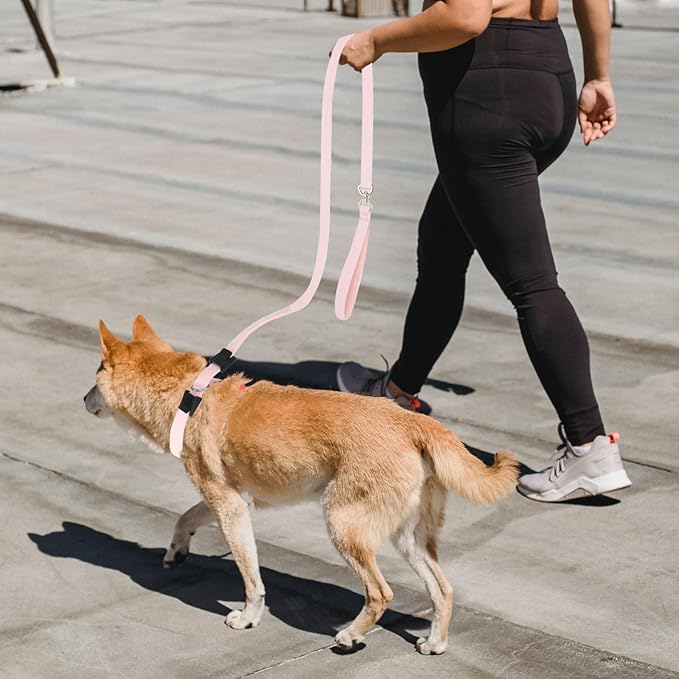 Slip Lead Dog Leash,Soft Corduroy 6 FT Dog Training Leash for Medium Large Dogs,No Pull Slip Leash and Collar with Padded Handle,Light Pink