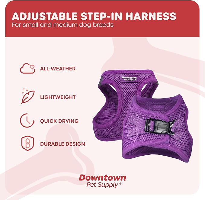 Downtown Pet Supply Step-in Dog Harness – No Pull, Adjustable Padded Mesh with Reflective Trim, Secure Buckle Strap – Comfortable & Breathable Small Dog Harness, XX-Small, Purple