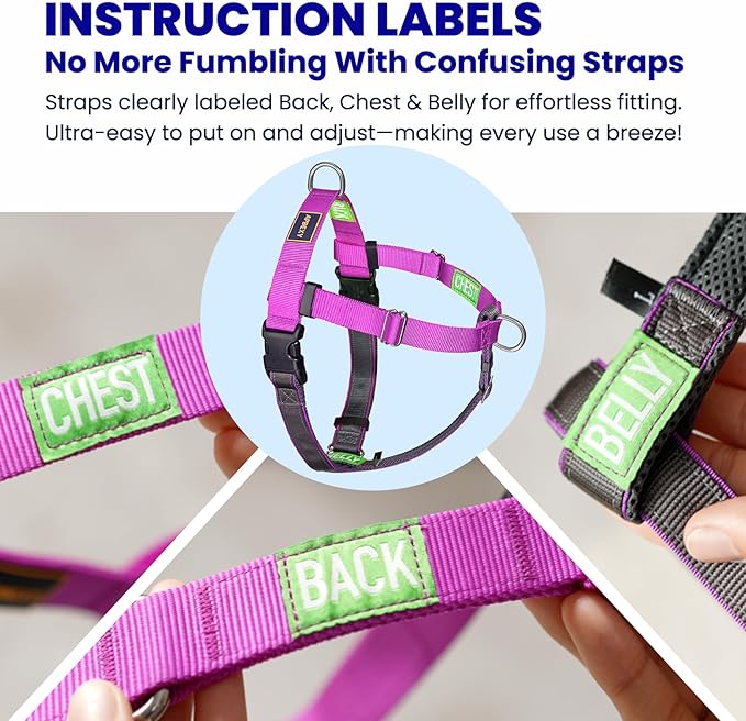 Freedom No Pull Dog Harness, Designed for Hound Dog Train, Easy Walk with 2 Stainless D-Rings, Sewn-in Instructions Tags for Easy Use, for Large Dogs Weight 60-80 lbs (Purple, L)