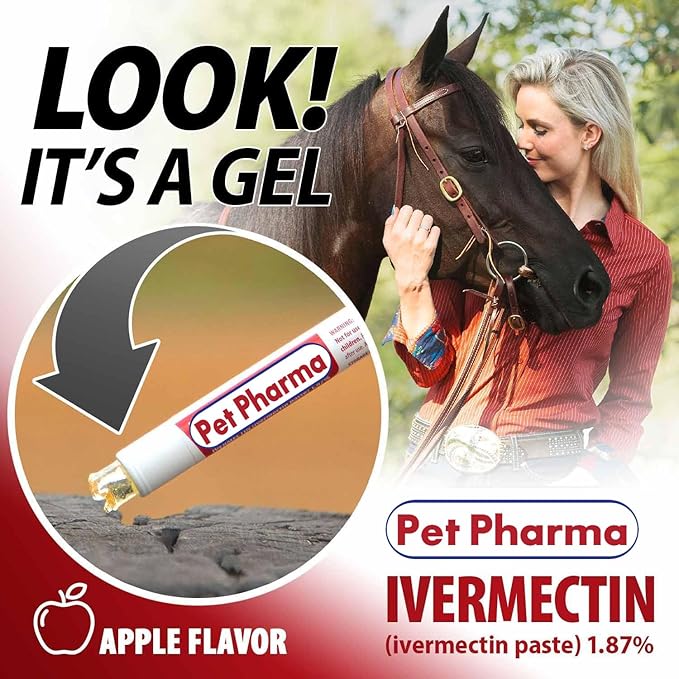 Ivermectin Paste 1.87% Only Use for Horses – Apple Flavor Oral Paste – 6.08g Syringe - Gel Dewormer for Horse - Safe for Equine of All Ages (1 - Pack)