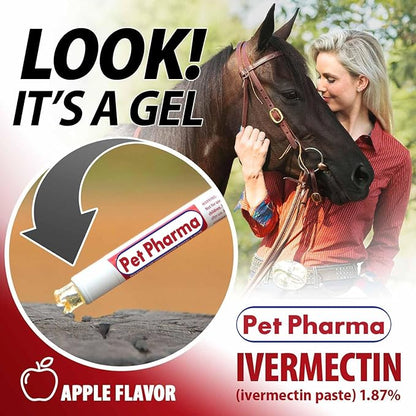 Ivermectin Paste 1.87% Only Use for Horses – Apple Flavor Oral Paste – 6.08g Syringe - Gel Dewormer for Horse - Safe for Equine of All Ages (2 - Pack)
