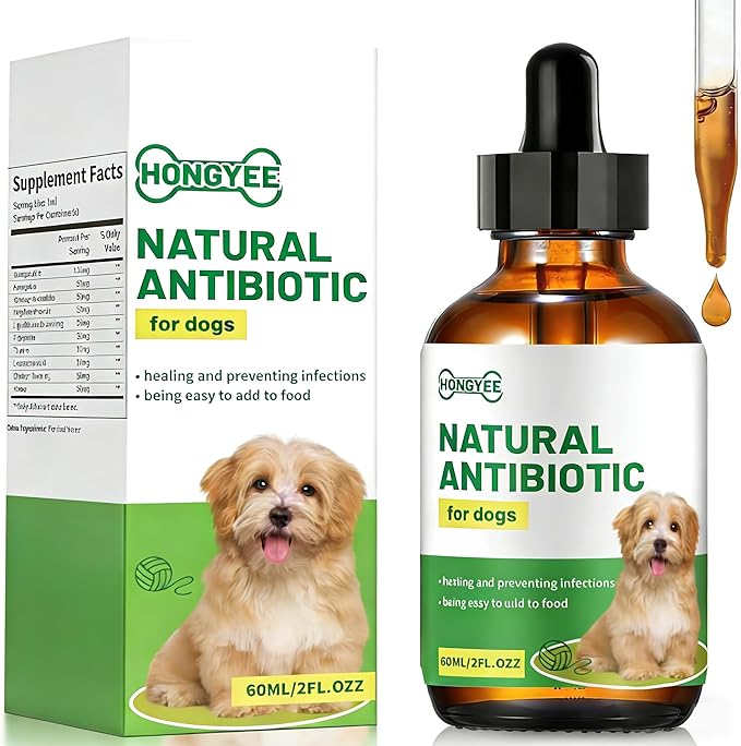 Natural Antibiotic for Dogs – Chicken Flavor 2oz | Supports Relieve Skin Allergy itching and Yeast infections, Urinary Tract Health, Wound Healing & Dental Care |Dog Supplements, Safe for All Ages