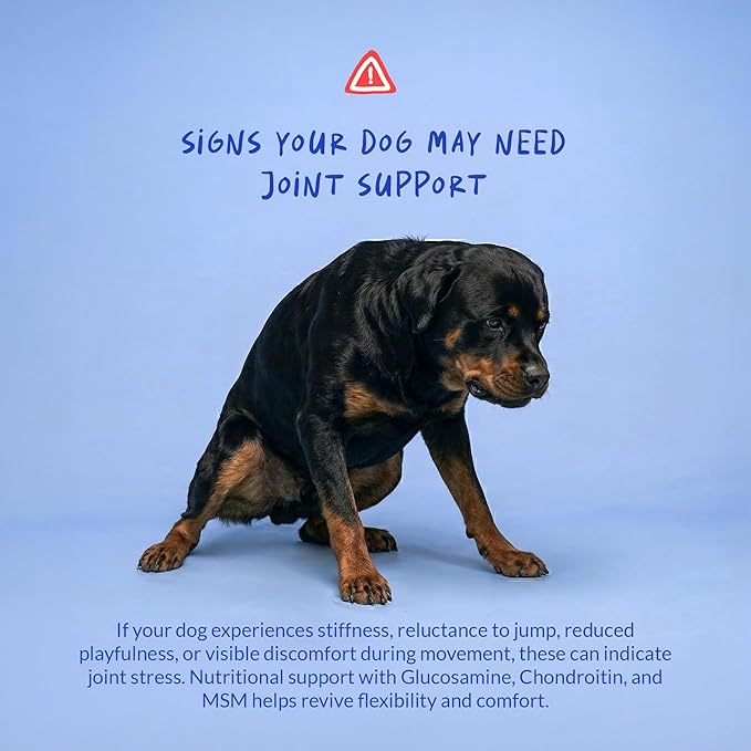 Hip and Joint Supplement for Dogs - Glucosamine for Dogs - Hip & Joint Support - Plus Chondroitin and MSM - Ease Inflammation, Antioxidant. (120 Chewable Tablets)