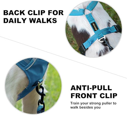 Plutus Pet No Pull Dog Harness, Reflective Adjustable Dog Vest Harness with Handle, Escape Proof, Soft Padded for Small Medium Large Dogs (Light Blue, XL)