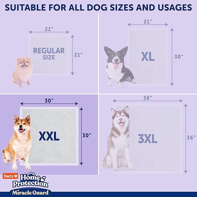 Hartz Miracle Guard Dog and Puppy Dog Pads Max Absorbency 24 Hour Use Odor Eliminating Lavender Scented No Leaks, 2XL Size 20 Count