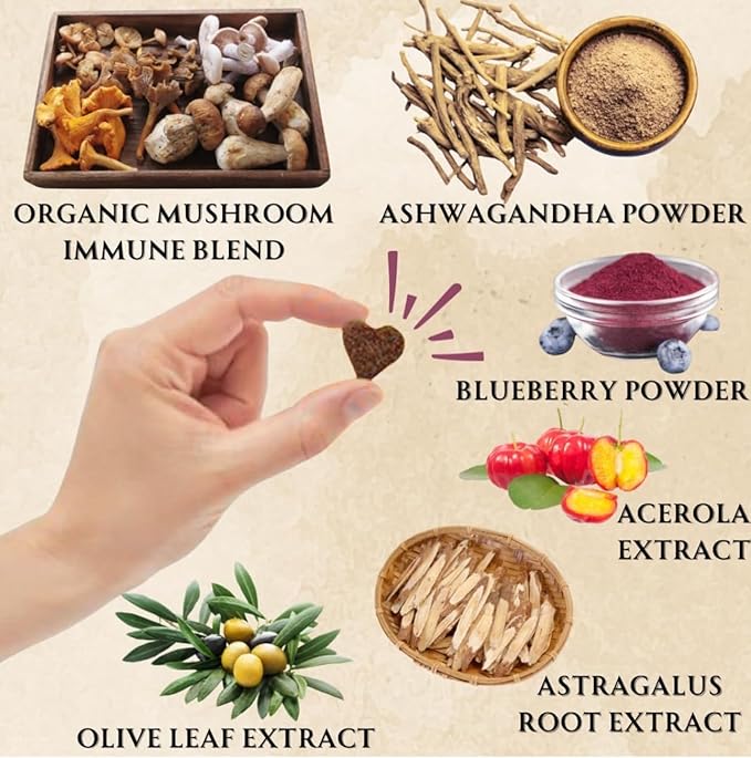 Turkey Tail Mushroom for Dogs - Organic Immune Support Chews - Buddy Health Guard Mushroom Blend - Boosts Immunity, Gut & Joint Health - Natural Chicken Flavor, Grain-Free Supplement - 90 Soft Chews
