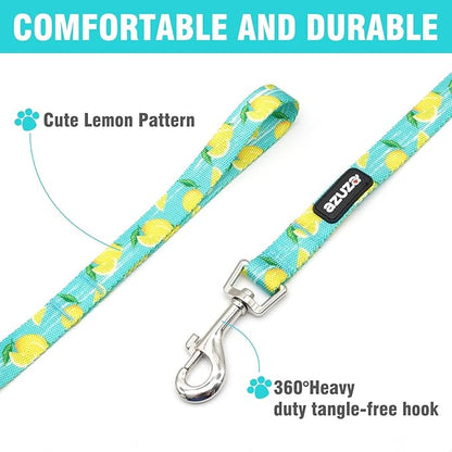 azuza Dog Collar and Leash Set, Lemon Patterns on Blue Nylon Collar and Matching 6ft Leash, Adjustable for Small Dogs